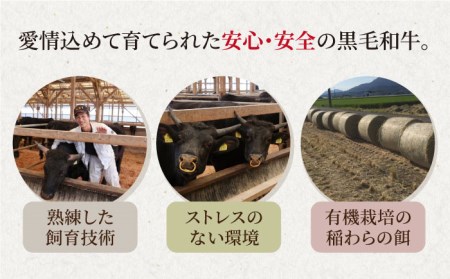 佐賀県黒毛和牛 ホルモン500g HAD108 ホルモン 
