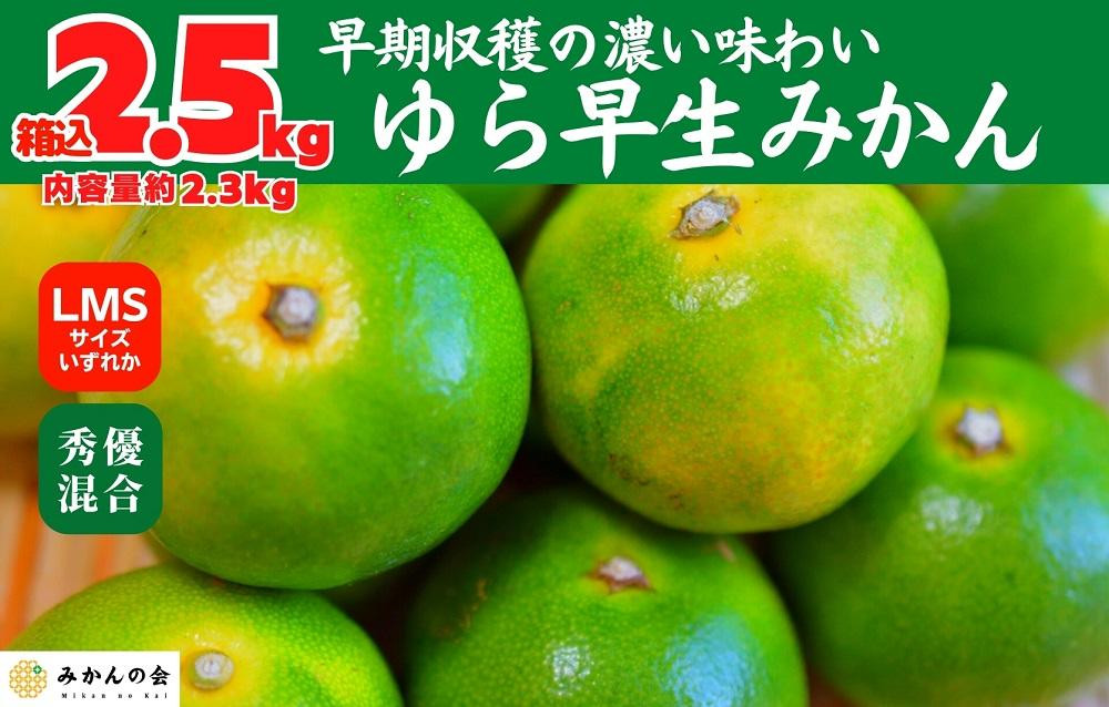 
            ゆら早生 みかん 箱入2.5kg (内容量2.3kg) SMLサイズのいずれか 秀品 優品 混合 有田みかん 和歌山県産 【みかんの会】
          