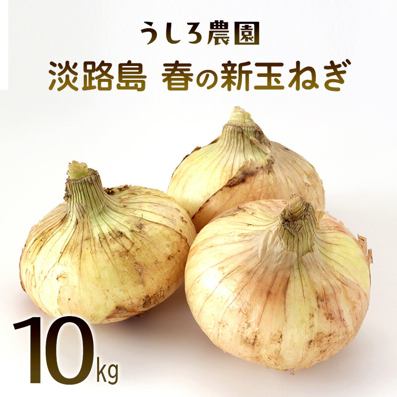 【ふるさと納税】淡路島　春の新玉ねぎ　10kg　早生 新玉ねぎ 玉ねぎ たまねぎ 玉葱 オニオン 野菜 肉厚 ジューシー スライス ホイル焼き レンジ調理 バター醤油 旬 兵庫県 洲本市 淡路島　お届け：2026年4月中旬～5月下旬