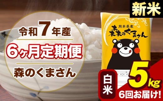 【6ヶ月定期便】令和7年産 新米 森のくまさん 白米 5kg 5kg×1袋 計6回お届け《1月から出荷開始》お米 こめ 熊本県産 ご飯 備蓄