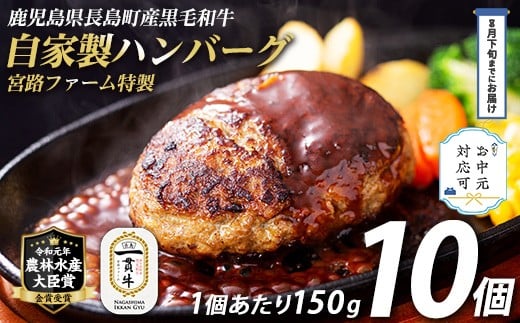 
            《お中元対応可》 鹿児島県産合挽き肉使用 自家製ハンバーグ計10個(1個150g)国産 鹿児島 ハンバーグ 冷凍 セット 詰め合わせ 惣菜 肉 合い挽き 合挽 豚肉 牛肉 肉 加工品 小分け 個包装 おかず【宮路ファーム】f-miyaji-1209-03D
          