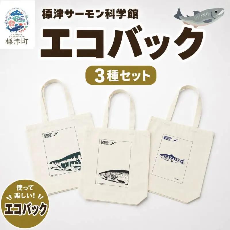 エコバック 3種セット 【AP】