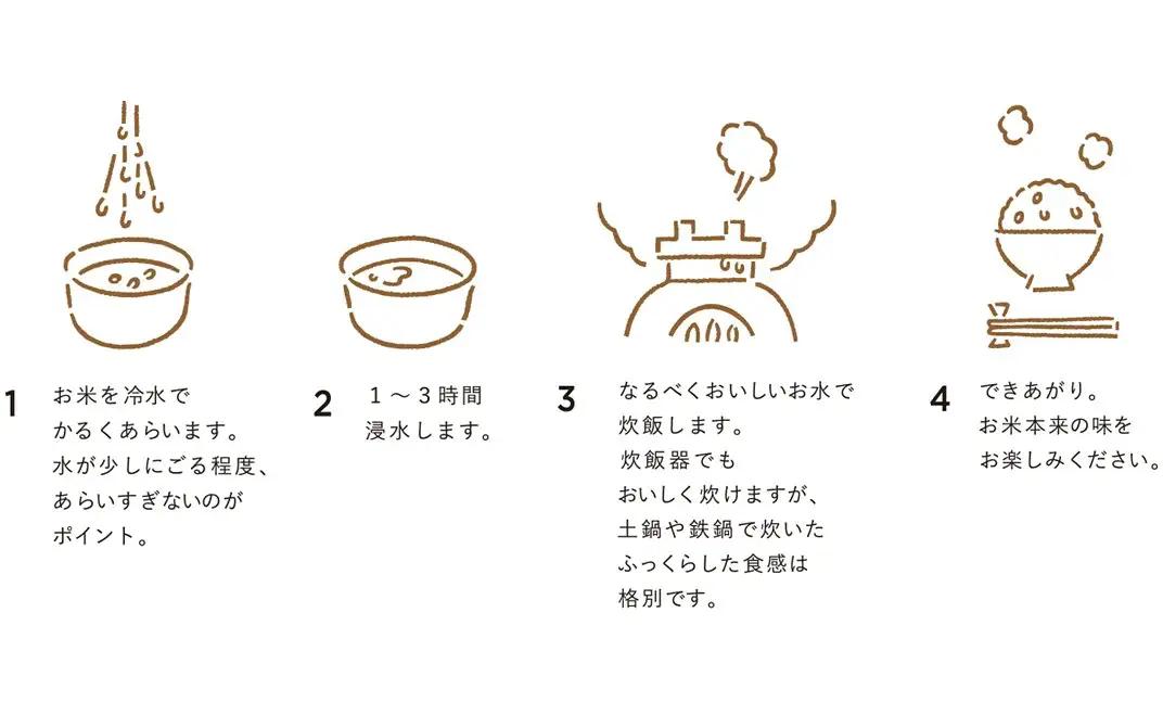令和8年産 羽咋米 こしひかり 玄米3㎏ 羽咋米