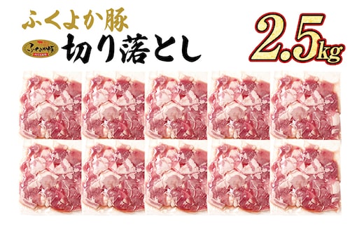 
										
										豚肉 ふくよか豚 切り落とし 2.5kg（250g×10パック） モモ ウデ モモ肉 ウデ肉 小分け 真空パック ブタ肉 ぶた肉 生姜焼き 焼きそば 豚汁 冷凍 福岡県 福岡 九州 グルメ お取り寄せ
									