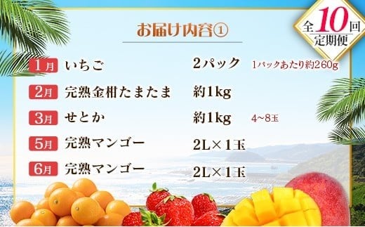 【10回定期便】旬 人気 フルーツ 南国宮崎産 マンゴー 金柑たまたま シャインマスカット ピオーネ いちご みかん 梨 メロン 柑橘 きんかん ぶどう 果物 詰め合わせ 宮崎県 九州＜E-2コース 