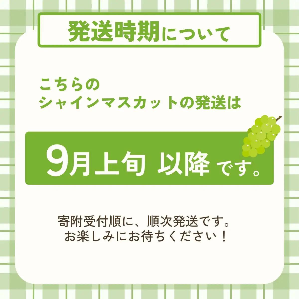 [9月上旬以降順次発送] シャインマスカット 糖度18度以上 完熟シャインマスカット 1.2kg 丹波 ぶどう
