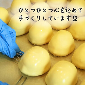 レモン美人 5個入り 檸檬 ケーキ お菓子 焼菓子 スイーツ レモン レモン レモン レモン レモン yukido006_01