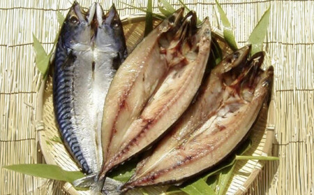 肉厚で大きなトロ鯖　3枚（約２００～２５０ｇ×３枚）脂がのってます！ ｜ さば さば さば さば さば 