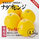 【ふるさと納税】【先行予約】【農家直送】愛媛県産 ナダオレンジ 家庭用 4.5kg ｜ 柑橘 蜜柑 みかん ミカン 果物 フルーツ 河内晩柑 ※2025年5月中旬頃より順次発送予定