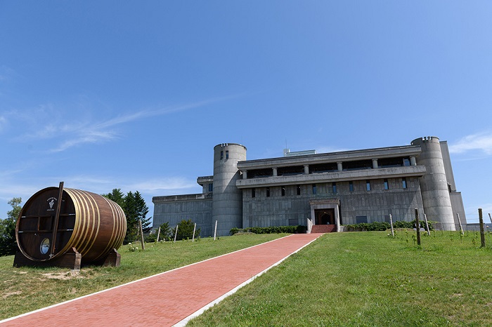 【数量限定】十勝ワインスペシャル6本 特別醸造 限定ラベル 赤ワイン 北海道池田町