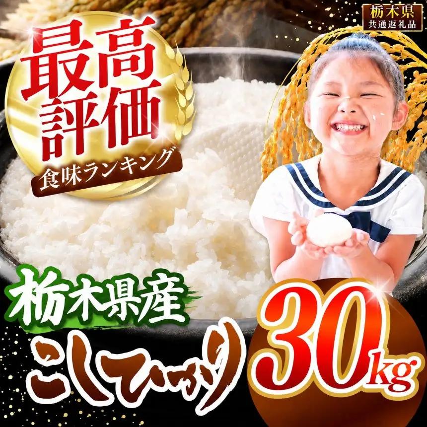 【2026年産】栃木県産コシヒカリ白米 30kg【栃木県共通返礼品 栃木県産】