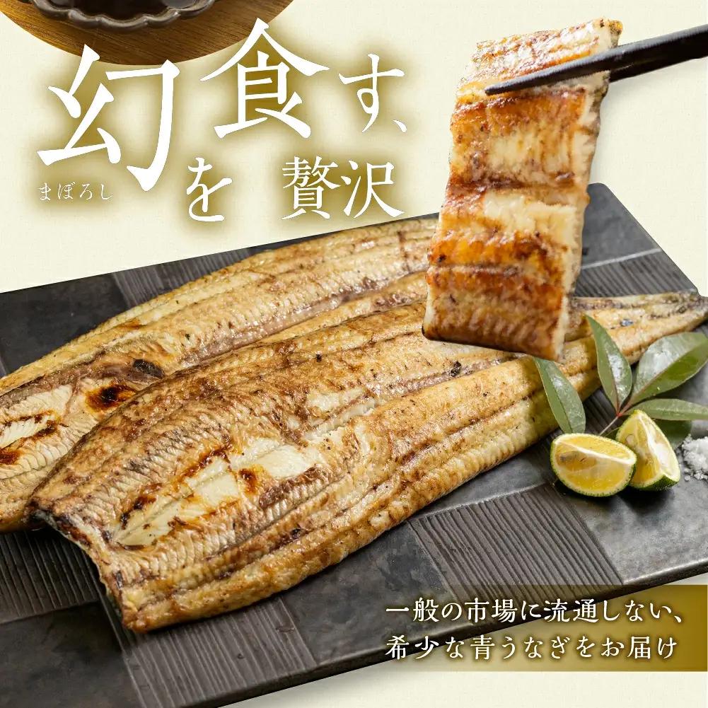 最高級 特上 幻の青うなぎ 8尾 うなぎ 白焼 