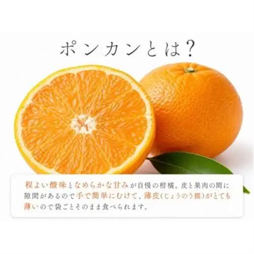 【日高町】紀州和歌山有田産ポンカン　5kg【1217367】