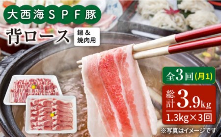 【3回定期便】大西海SPF豚 背ロース（焼肉＆しゃぶしゃぶ用）計1.2kg 訳あり ＜大西海ファーム＞ [CEK098] 豚肉