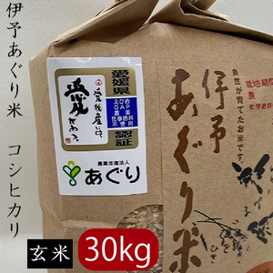 米 玄米 30kg 伊予あぐり米「コシヒカリ」 令和7年産 米 農薬・化学肥料不使用 ｜米 玄米 令和7年産 米 お米 こめ 農薬・化学肥料不使用 こだわりのお米  愛媛県 松前町 松前 まさき 愛媛 えひめ おこめ 有限会社あぐり 愛媛県産米 松前町産米 美味しいお米   お米 贈答 贈り物 愛媛県 松前町 有限会社あぐり 【AGR0010_30R7】　