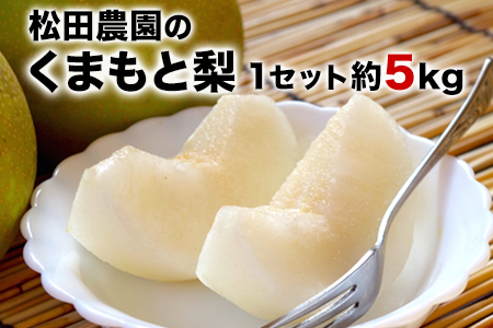 先行予約 くまもと梨 約5kg 松田農園 梨