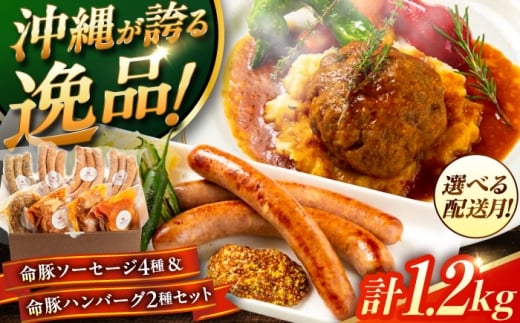 【2026年2月発送】 『命豚ソーセージ4種＆命豚ハンバーグ2種セット』 豚肉 ハンバーグ ソーセージ 詰め合わせ お取り寄せ 国産 ギフト 冷凍 沖縄市 / DELICATESSEN NUCHIBUTA[BCAR002-2]