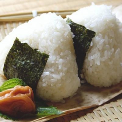 ふるさと納税 広川町 【毎月定期便】福岡有明のり　訳あり!　焼海苔　20g×6袋(広川町)全2回 |  | 02