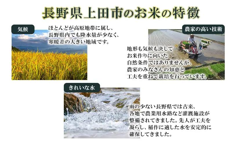 コシヒカリ 10kg 白米 長野県産 上田市 コシヒカリ