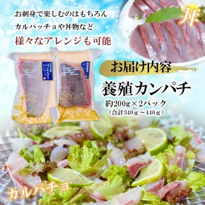 ふるさと納税 三浦市 【高鮮度】鮮魚活〆カンパチお刺身セット |  | 01