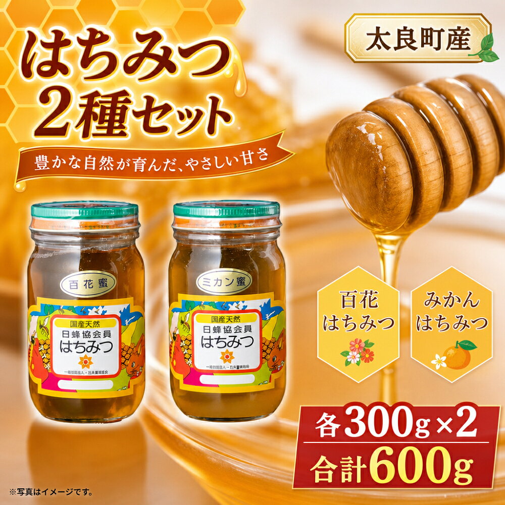 【ふるさと納税】N27x1 太良町産はちみつ2本セット【みかん蜜300g、百花蜜300g】　はちみつ ハチミツ 蜂蜜 ジャム みかんジャム 柑橘 みかん蜜 百花蜜 国産はちみつ 佐賀県産 太良町 こだわり 贈答品 お中元 お歳暮 セット