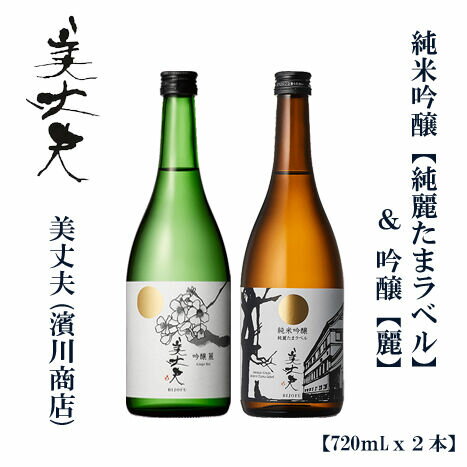 【ふるさと納税】 美丈夫 純麗たまラベル 720ml ＆ 吟醸 麗 720ml （各1本）/ 高知 地酒 日本酒 酒 飲み比べ セット 【近藤酒店】[ATAB207]