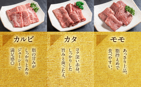 飛騨牛 焼肉 5種 食べ比べセット（各100g）計500g （カルビ・肩・モモ・ロース・トモサンカク）【22-53】