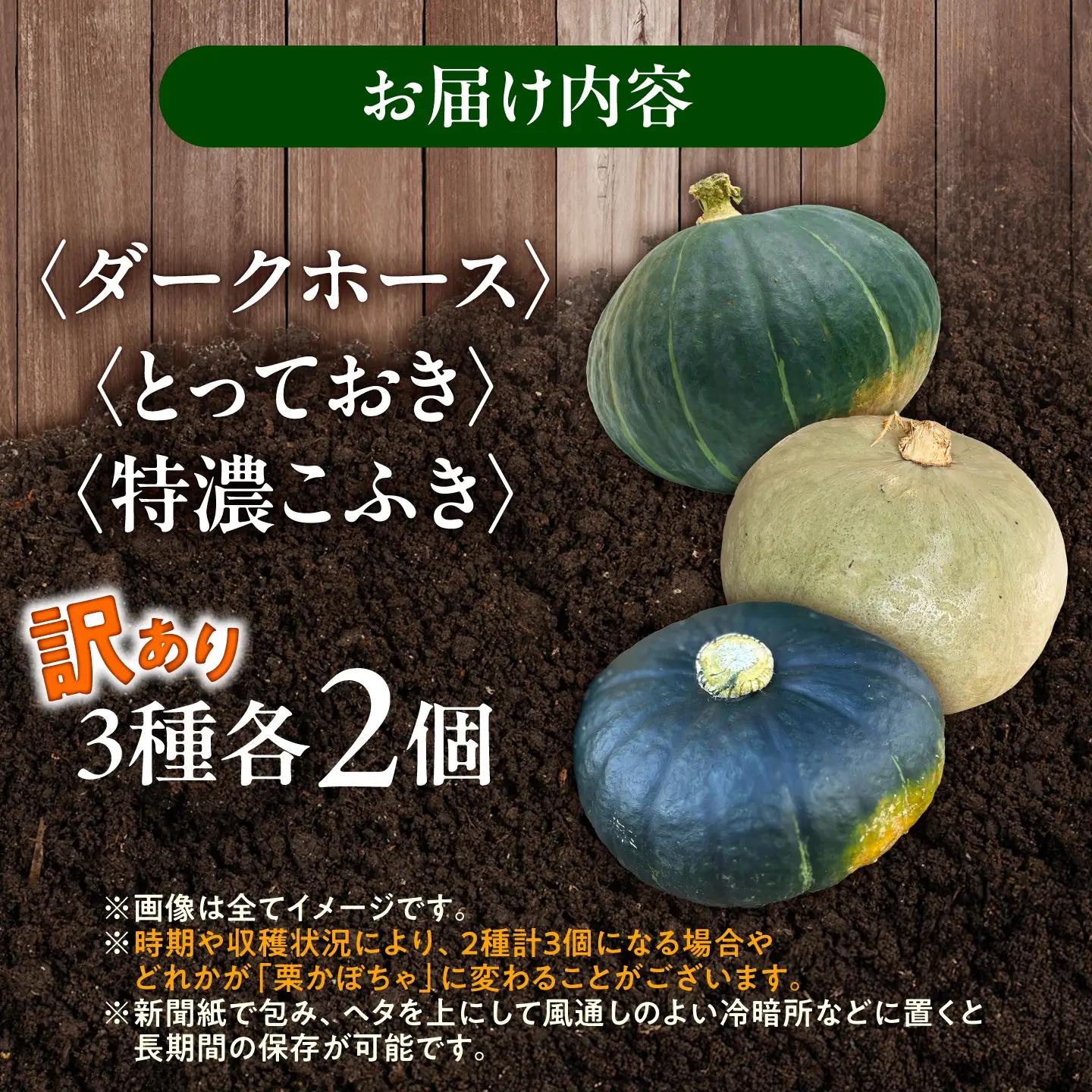 【先行予約】北海道 かぼちゃ 訳あり ダークホース・とっておき・特濃こふき 3種類×2個 【9月中旬以降発送】足寄町/足寄アグリバイオ株式会社 [BEAC015]