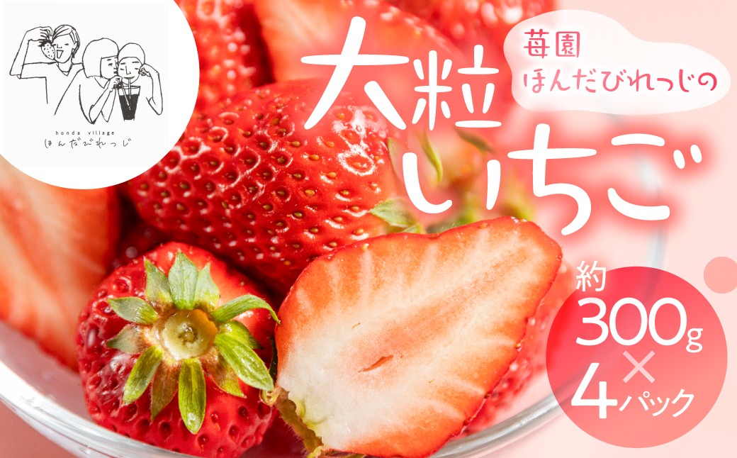 
            ≪先行予約≫ 苺園 ほんだびれっじの苺 4パック 計約1200g (約300g×4) 激甘 イチゴ 1.2kg
          