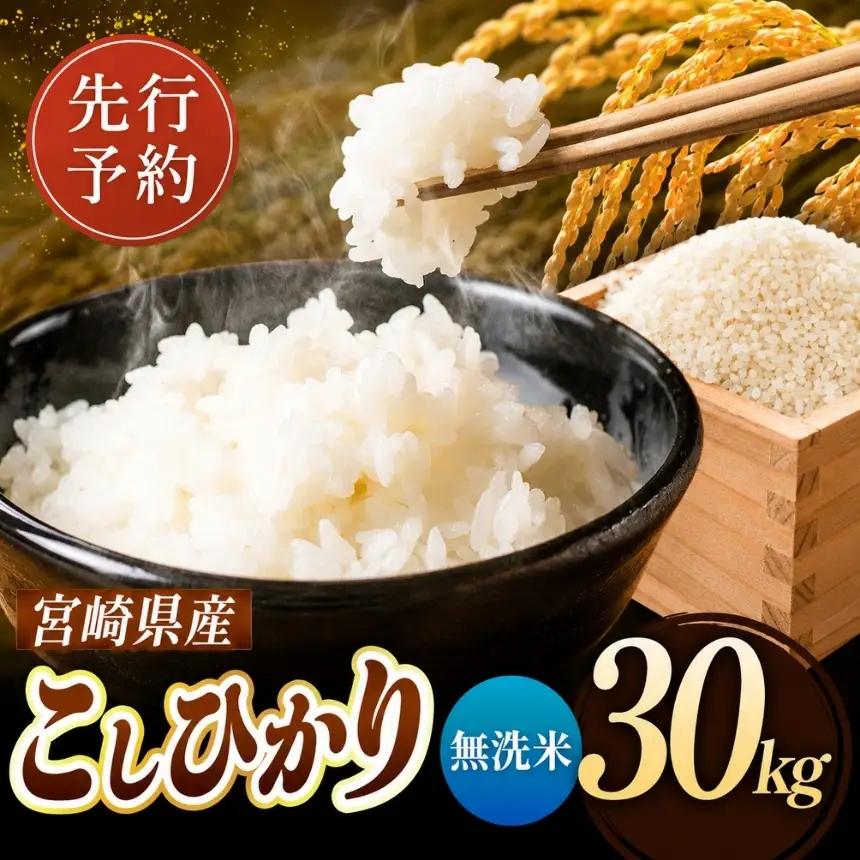 令和8年産 こしひかり 30kg ( 5kg × 6袋 ) ( 無洗米 ) 宮崎県産