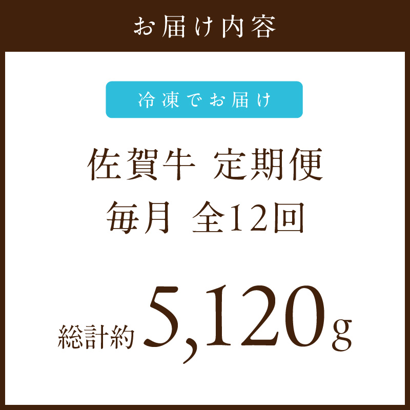 【発送月固定 定期便】肉の定期便! 佐賀牛 毎月月替わりでお届け 全12回 J1171