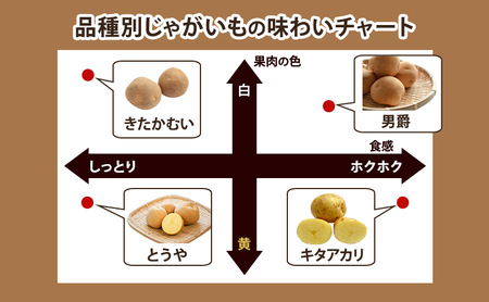 【 2026年 出荷 先行予約 】 北海道 倶知安 産 じゃがいも  きたかむい  L サイズ 10kg 馬鈴薯 いも 芋 グリーンアースファーム 農家 直送 野菜 産地直送