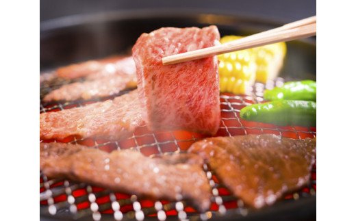 伊万里牛 A5 赤身 焼肉用 500g 015-J627