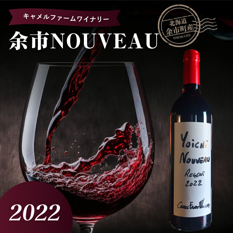 【ふるさと納税】余市町産 ぶどう使用 余市 NOUVEAU 2022 750ml キャメルファーム レジェント100% 北海道 ワイン 赤ワイン ヌーヴォー 果実味 お酒 アルコール ギフト 贈り物 プレゼント 記念日 ピスタチオ 手土産 母の日 父の日 敬老の日 家飲み 家族 お取り寄せ 送料無料