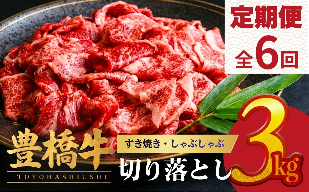 
            【6回定期便】豊橋牛 切り落とし 3kg | 牛肉 肉  国産牛 肉 焼肉 すき焼き 定期便 しゃぶしゃぶ すきやき お楽しみ 人気 冷凍  豊橋市  
          