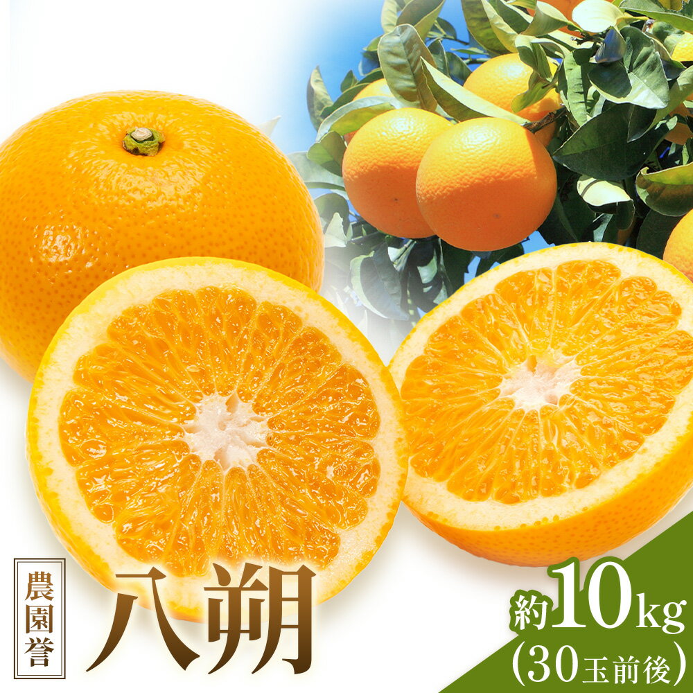 【ふるさと納税】 八朔 約10kg (約30玉前後) 農園誉《2026年3月上旬-3月下旬頃出荷》 和歌山県 日高川町 はっさく みかん ミカン フルーツ 果物 柑橘