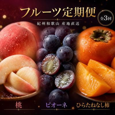 ふるさと納税 紀美野町 【発送月固定定期便】紀州和歌山産旬のフルーツセット(桃・ピオーネ・ひらたねなし柿)全3回
