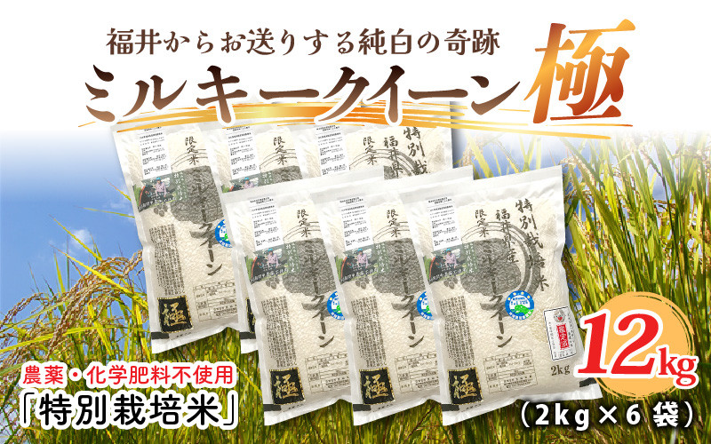 
            【令和6年産】お米の女王！農薬・化学肥料不使用 特別栽培米 ミルキークイーン極12kg (2kg × 6袋) [E-2917]
          