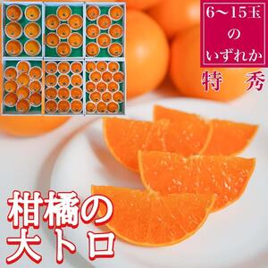 定期便 貯蔵 はっさく ＆ ハウス せとか 特秀 全2回 南泰園 特秀 セット みかん