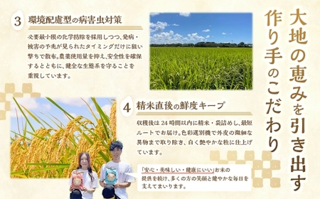 【10営業日発送】【令和7年産】静岡県産コシヒカリ 玄米 10kg （5kg×2袋） 【2026年8月下旬迄順次発送予定】 コシヒカリ こしひかり 米 コメ こめ ご飯 ごはん 菊川市 静岡県