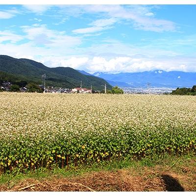 ふるさと納税 青木村 青木村特産タチアカネ使用　信州手折そば(干しそば)×3箱セット |  | 03