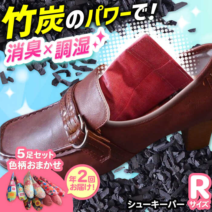 【ふるさと納税】年2回お届け。色柄おまかせシューキーパーR（レギュラー）5足セット×2 大阪府高槻市/チャコールファーム[AOBM011] 消臭 調湿 長持ち おすすめ 人気 竹 竹炭 炭 靴 シューズ