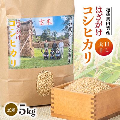 ふるさと納税 阿賀町 小会瀬のお米「はざがけコシヒカリ」玄米　5kg