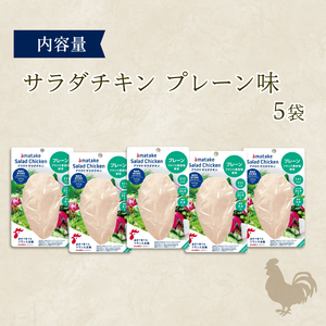 サラダチキン (プレーン味) 100g × 5袋 (計500g) 鶏肉 チキン 