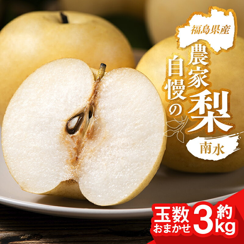 【ふるさと納税】農家自慢の梨 南水 約3kg（玉数おまかせ） なし ナシ 梨 デザート フルーツ 果物 くだもの 果実 食品 FAI-0072