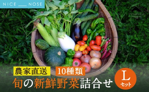 【大阪能勢産】 《農家直送》 べじたぶるぱーくの旬の新鮮野菜詰合せ Lセット (10種類) | べじたぶるぱーく野菜詰め合わせ 野菜 農薬・化学肥料不使用 新鮮 産地直送 季節 旬 | 大阪府 能勢町