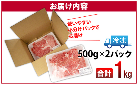 K1517＜2024年04月発送＞【A5・A4等級】常陸牛 切り落とし 1000g