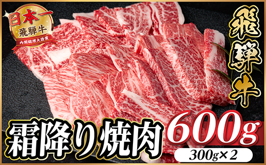 飛騨牛 霜降り焼肉 約600g(約300g×2) BBQ用(上カルビ、肩ロース、カイノミなど)訳あり【配送不可地域：離島】【1733136】
