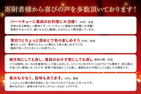 【６ヶ月定期便】「くんじゃん豚」しゃぶしゃぶ/焼肉 食べ比べセット3.2kg（バラ・ロース）総量19.2kg