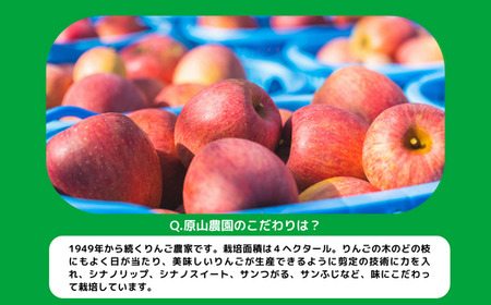 【 品種おまかせ 】 季節のりんごジュース 1000ml × 6本 サンつがる シナノスイート サンふじ 果汁100% 原山農園 沖縄県への配送不可 飲料 果汁飲料 りんご リンゴ 林檎 ジュース 信